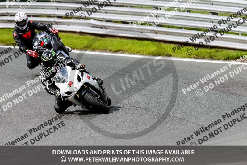 PJ Motorsport 2019;anglesey;brands hatch;cadwell park;croft;donington park;enduro digital images;event digital images;eventdigitalimages;mallory;no limits;oulton park;peter wileman photography;racing digital images;silverstone;snetterton;trackday digital images;trackday photos;vmcc banbury run;welsh 2 day enduro